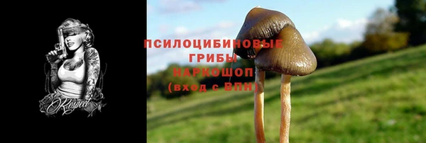 apvp Алексеевка
