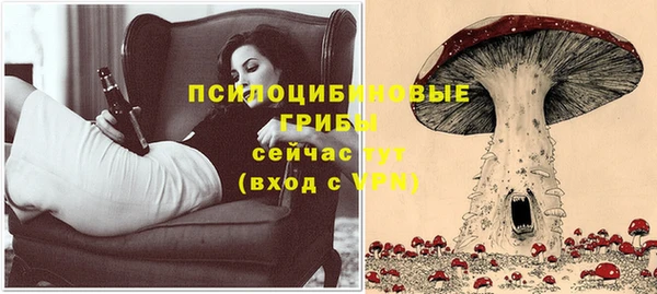 apvp Алексеевка