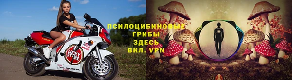 каннабис Алзамай